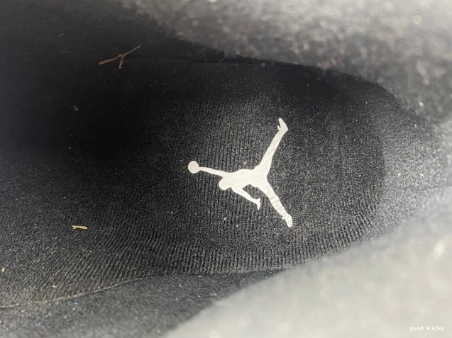 Rep 14 Retro Jordan Laney 487471-407 0808
